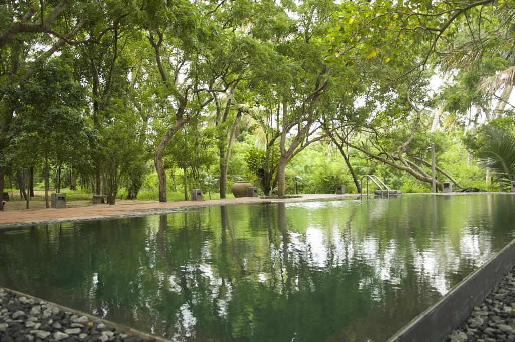 Lagoon House Rekawa Tangalle Zewnętrze zdjęcie