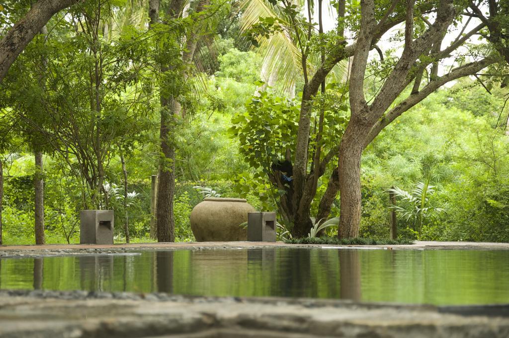Lagoon House Rekawa Tangalle Zewnętrze zdjęcie