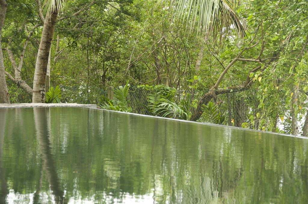 Lagoon House Rekawa Tangalle Zewnętrze zdjęcie